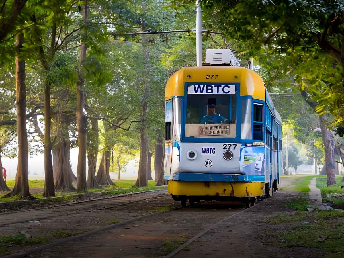 Tram Tour