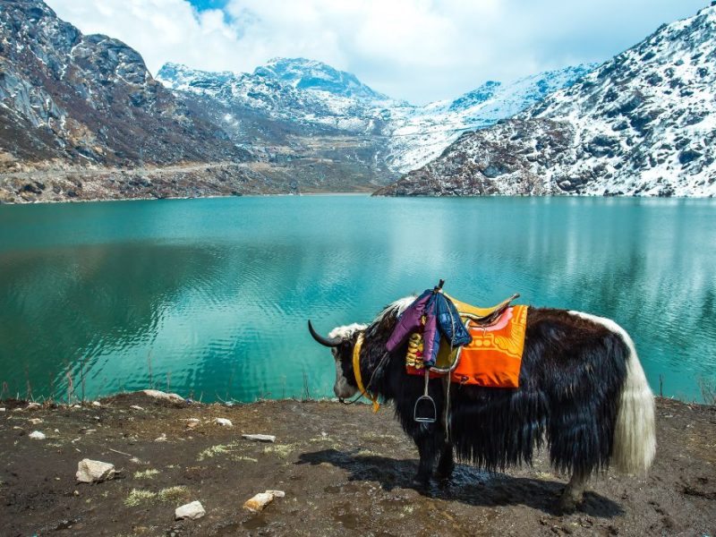 Gangtok places to visit in Tsomgo Lake