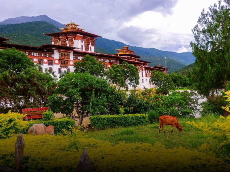 Punakha